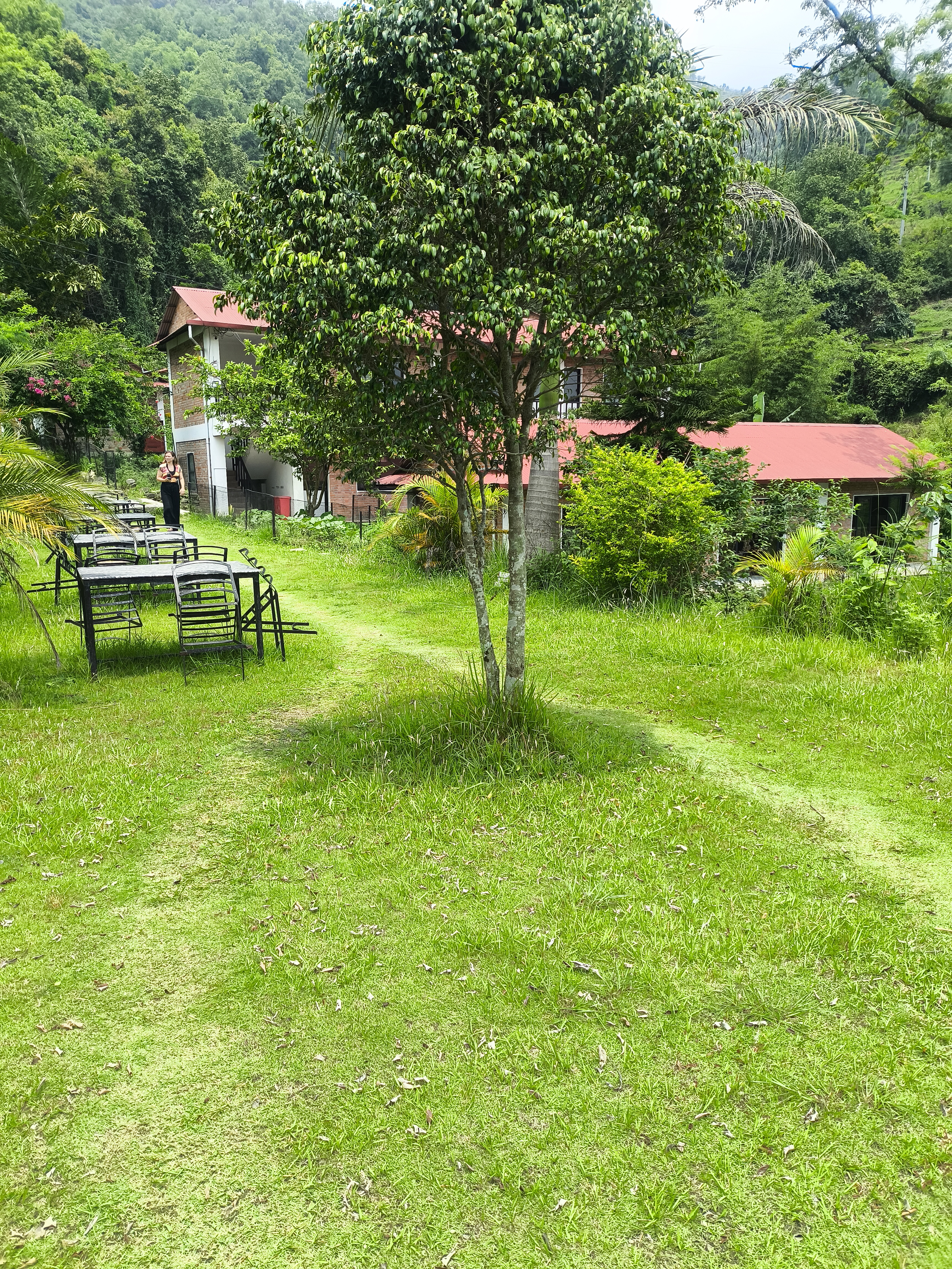 Garden